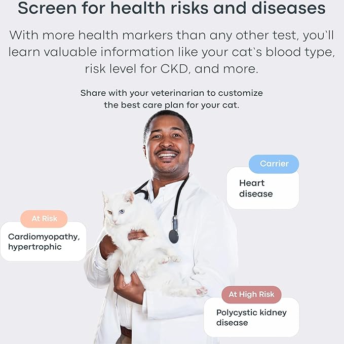 Basepaws Cat DNA Test Kit 2 Pack - 21+ Breeds, 114+ Health and Dental Traits for Comprehensive Accurate and Easy-to-Use Genetic Insights