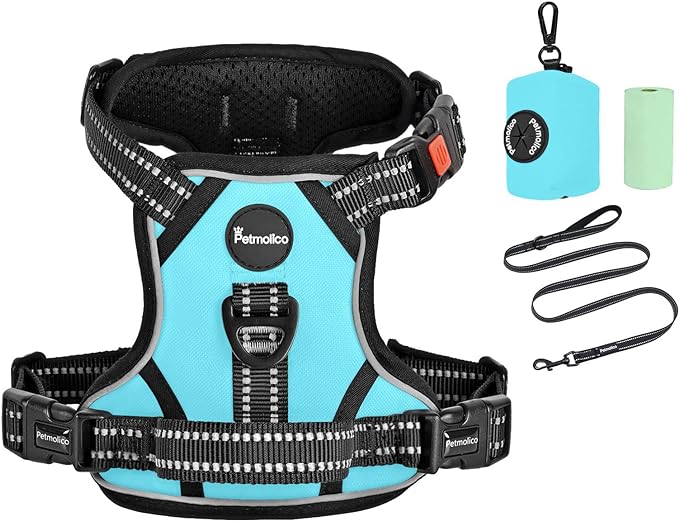 Petmolico No Pull Dog Harness Set with Leash Attachment Easy Control Handle Reflective Harness Vest Small Breed, Puppy Vest and Leash Set with Poop Bag Holder, Medium - Turquoise