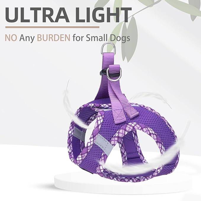PUPTECK Dog Harness and Leash Set for Small Medium Dogs No Pull Step-in Soft Mesh Puppy Cat Vest Harnesses Reflective at Night, Purple M