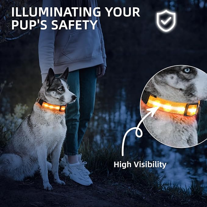 Super Bright LED Dog Collar - Fully Waterproof & Adjustable Glow Collar - USB-C Rechargeable for Night Walking, Safety - Flashing Lighted Collar for Dogs(Orange,S)