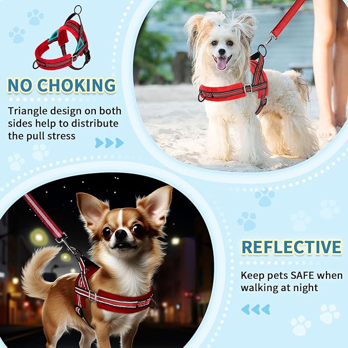 SlowTon No Pull Small Dog Harness and Leash Set, Puppy Soft Vest Harness Neck & Chest Adjustable, Reflective Lightweight Harness & Anti-Twist Pet Lead Combo for Small Medium Dogs (R-Front Clip,XXS)