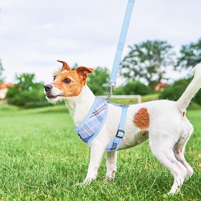 SCENEREAL Puppy Dog Harness with Leash Set for Small Medium Sized Dogs, Soft Mesh Step in Pet Harnesses and Leash, No Chock Plaid Adjustable No Pull Vest for Dogs Cats, Chihuahua,Bulldog (Blue XS)