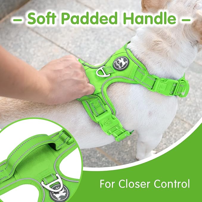 PoyPet No Pull Dog Harness and 5 Feet Leash Set, Release on Neck Reflective Adjustable Pet Vest, Front & Back 2 D-Ring and Soft Padded Pet Harness with Handle for Small to Large Dogs(Green,L)