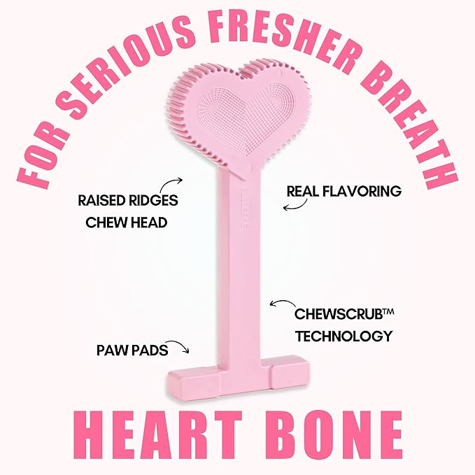 Bullibone Nylon Dog Chew Toy for Aggressive Chewers - Dental Hygiene Bone with Peppermint Flavor, Durable Tough Chew Toys for Large Dogs, Indestructible Dog Bone - 2 Pack