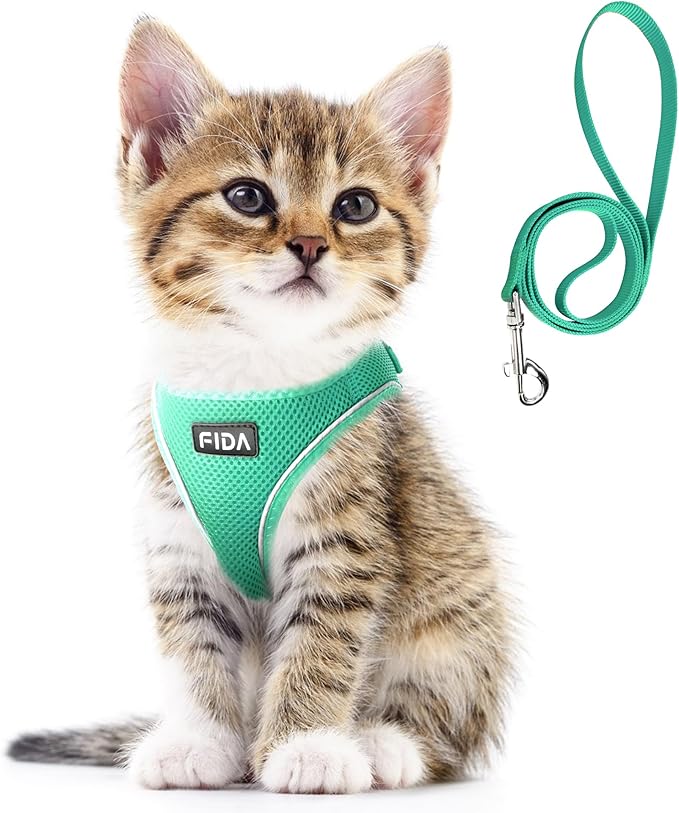 Fida Cat Harness and Leash Set for Walking Kitten and Puppy, Escape Proof Kitten Harness with Breathable Lightweight Soft Mesh, Adjustable Reflective Step-in Design. (XS, Green)
