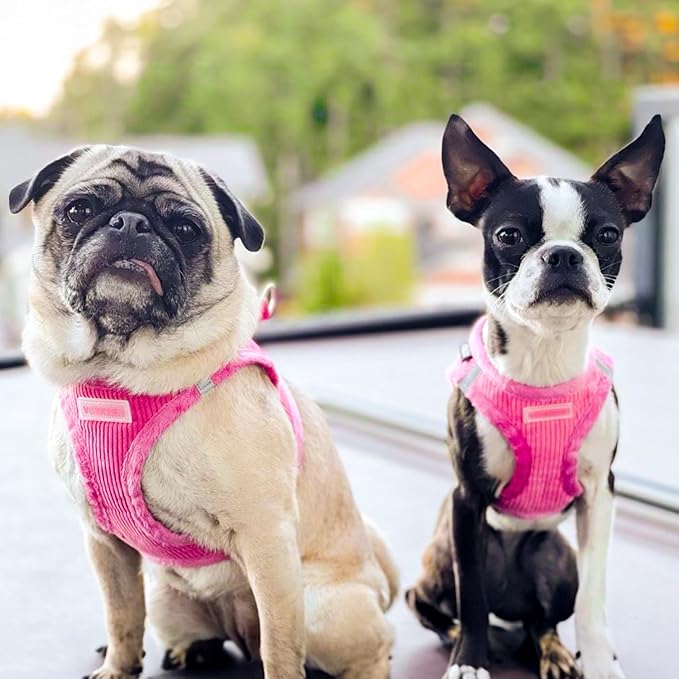 Best Pet Supplies - All Weather Mesh/Plush, Reflective, No Pull Harness for Small, Medium Dogs, Cats - Secure with Hook & Loop Fastener, Buckle, Double D-Rings - Fuchsia Corduroy, XS