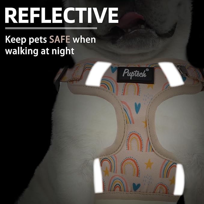 PUPTECK Dog Harness and Leash Set Small Sized, Step in No Pull Adjustable Puppy Cat Harness Reflective Pet Vest