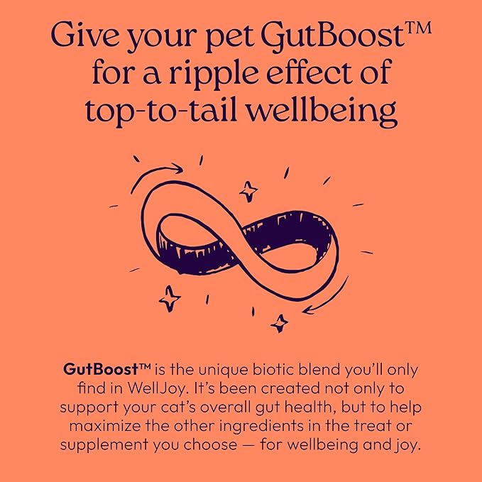 WellJoy Cat Treat Skin & Coat+ GutBoost | Nourishes Healthy Skin | Supports Shiny Coat | Dual-Benefit GutBoost Formulation | Vet Formulated | Made in USA | Real Shredded Chicken | 120 Soft Chews