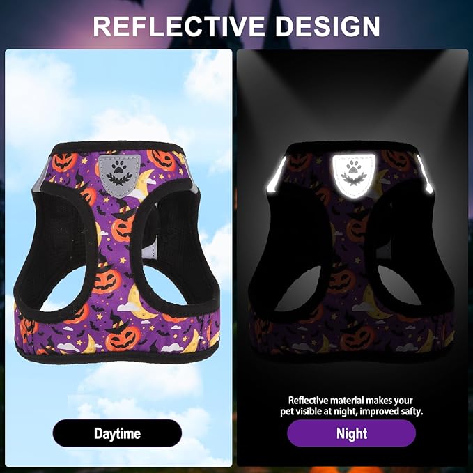 EXPAWLORER Halloween Puppy Harness - Dog Collar and Leash - Soft Mesh Padded Adjustable Step in Small Dog Vest Harness No Pull, Reflective Escape Proof for Outdoor Walking, Purple S