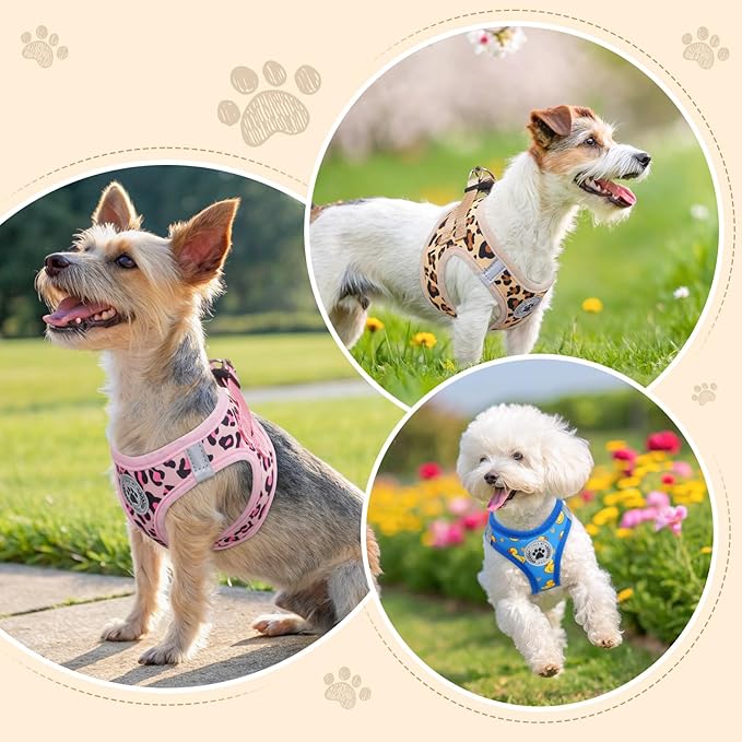 BEAUTYZOO Step in Dog Harness and Leash Set,Reflective Dog Harness No Pull No Choke Puppy Harness for Small Medium Large Dogs Cats,Soft Padded Mesh Vest Harnesses for Girl and Boy Pets, Duck Blue XS