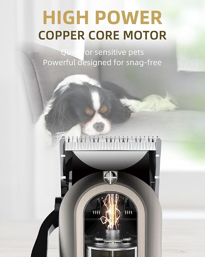 Dog Clippers for Grooming with 12V High Power Plug-in for Thick Heavy Coats Quiet, Pet Electric Professional Hair Grooming Clippers kit with 10 Metal Guard Combs Brush for Dogs Cats Pets (Gold)