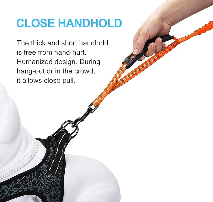 6FT Highly Reflective Heavy Duty Elastic Bungee Medium and Large Dog Leash Shock Absorbing with Comfortable Padded Handle and Traffic Handle Suitable for Training