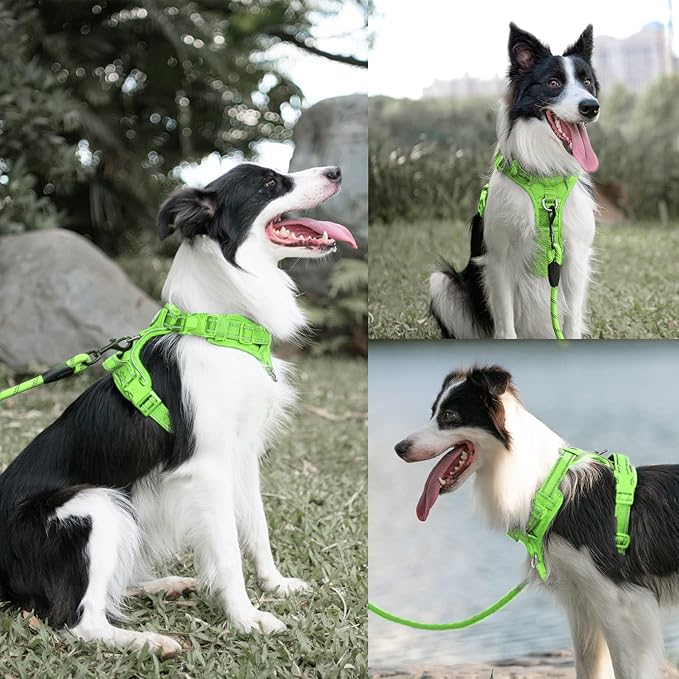 PoyPet No Pull Dog Harness and 5 Feet Leash Set, Release on Neck Reflective Adjustable Pet Vest, Front & Back 2 D-Ring and Soft Padded Pet Harness with Handle for Small to Large Dogs(Green,L)
