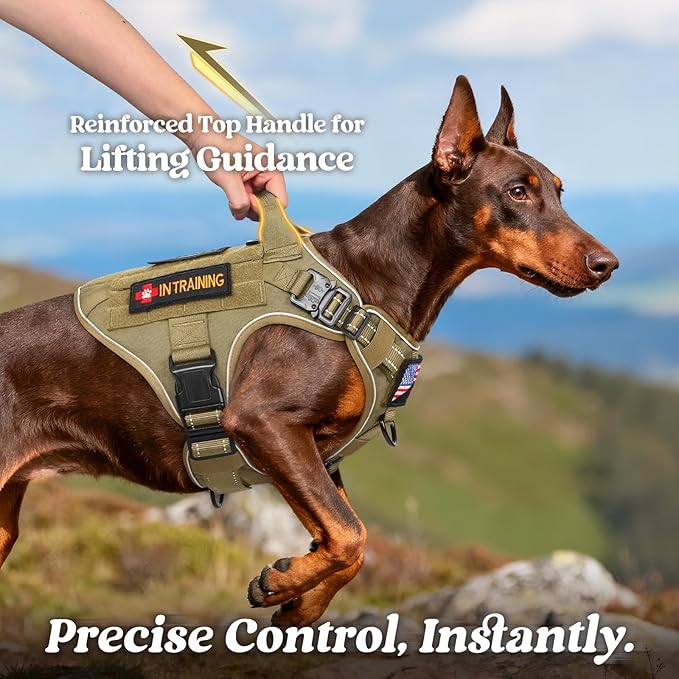 rabbitgoo Tactical Dog Harness for Large Dogs, No Pull Upgraded Reflective Heavy Duty Molle Vest with Handle, Adjustable Military Service Dog Vest for Walking Hiking Training, Brown, L