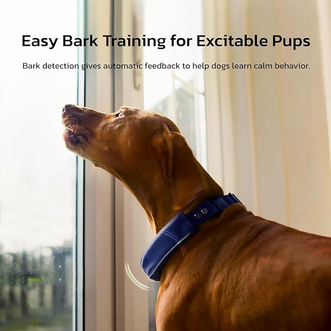 SATELLAI GPS Dog Collar, Red [Free 1-Year Membership] The Most Advanced Dog Wireless Fences with AI Analysis, Precise Position, 5-Day Battery, and IP68 Waterproof, Flexible Virtual Fencing for Dogs