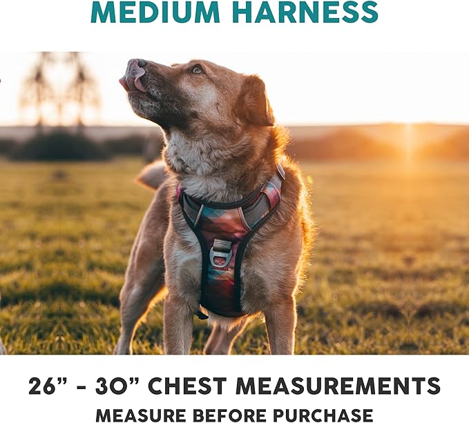 Embark Adventure No Pull Dog Harness, Reflective Trim No Pull Harness for Medium Sized Dog - Military Grade Nylon, Front Clip with Gel Lined Handle. Soft & Padded Puppy