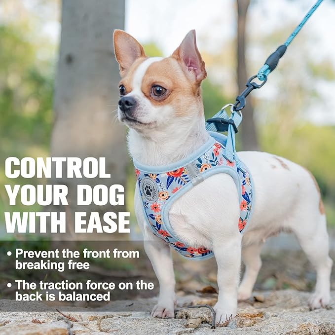 BEAUTYZOO Step in Dog Harness and Leash Set, Floral Pattern Reflective No Pull No Choke Puppy Harness for Small Medium Large Dogs Cats, Soft Padded Mesh Vest Harnesses for Girl and Boy Pets