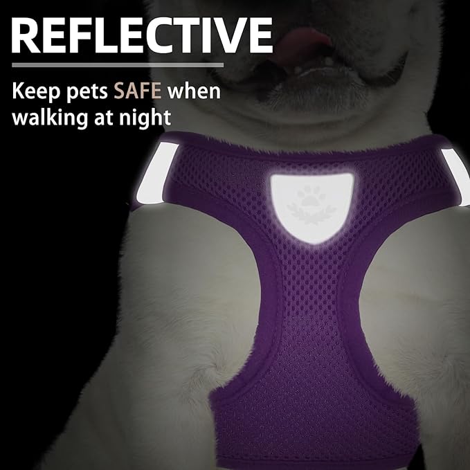 PUPTECK Adjustable Dog Harness Collar and Leash Set Step in No Pull Pet Harness for Small Medium Dogs Puppy and Cats Outdoor Walking Running, Soft Mesh Padded Reflective Vest Harnesses