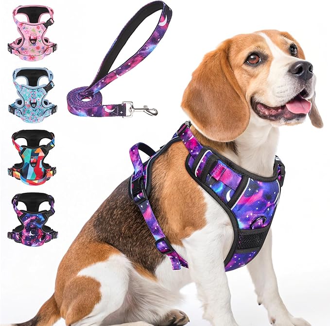 BEAUTYZOO No Pull Dog Harness and Leash Set with 2 Metal Leash Clips - Overhead-Free 3 Snap Buckles Design, Adjustable No-Choke Soft Padded Reflective Oxford Pet Vest for Small Medium Large Dogs, M