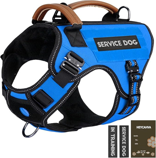 Service Dog Vest - HEYCAHVA Tactical Dog Harness Full Metal Buckles Dog Vest for Large Medium Dog Reflective No Pull Dog Harnesses with Leather Handle, Hook & Loop for Hiking Training (Blue, L)