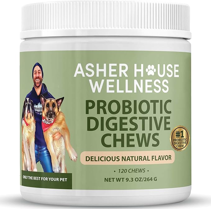 Asher House Wellness Probiotics Digestive Chew for Dogs - Dog Probiotic, Digestive Enzymes for Gut Health & Digestion - Pet Chews for Diarrhea, Upset Stomach, Allergies, Itchy Skin Relief, 120 Chews