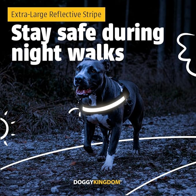 DOGGYKINGDOM Non Pull Dog Harness with Patch Panels and Handle, Adjustable, Reflective, No Choke, Heavy Duty Easy On Service Dog Vest Harnesses for Medium Large Small Sized Dogs - Purple, XL