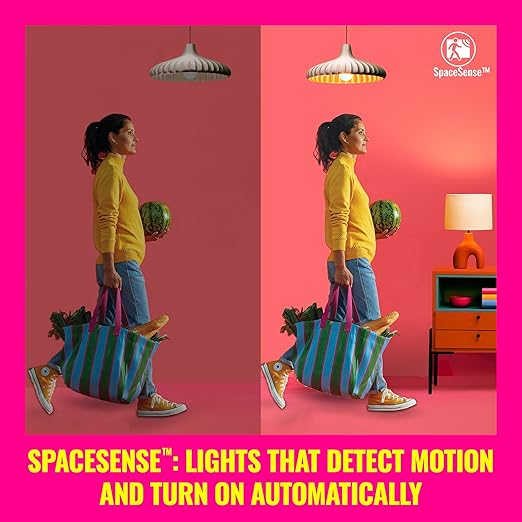 WiZ Smart Plug, Sunset to Sunrise Automation, Motion Detection, Control with Voice or App, Indoor Smart Plug Compatible with Alexa, Google Home and HomeKit, 1 Pack