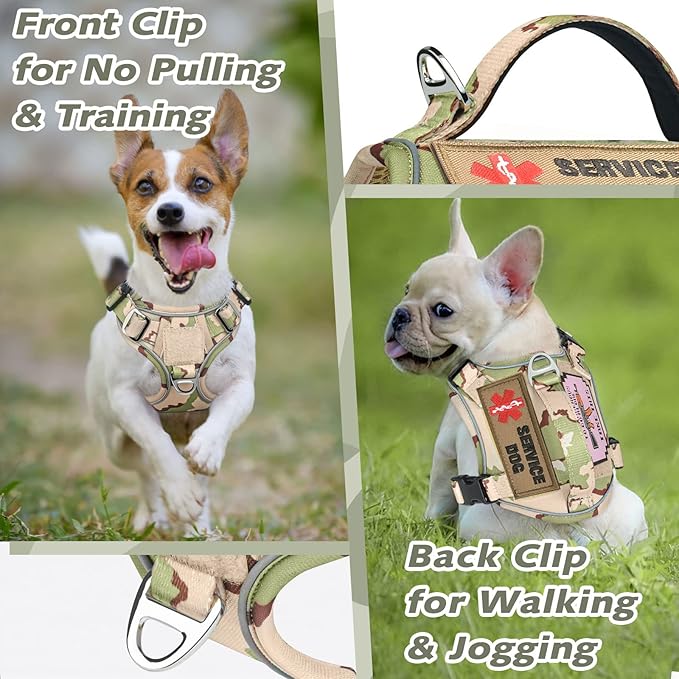 Tactical Small Dog Harness for Puppy, No Pull Military Service Dog Vest with Vertical Handle, Outdoor Training Small Puppy Vest Chihuahua Harness (Desert Green, XS)