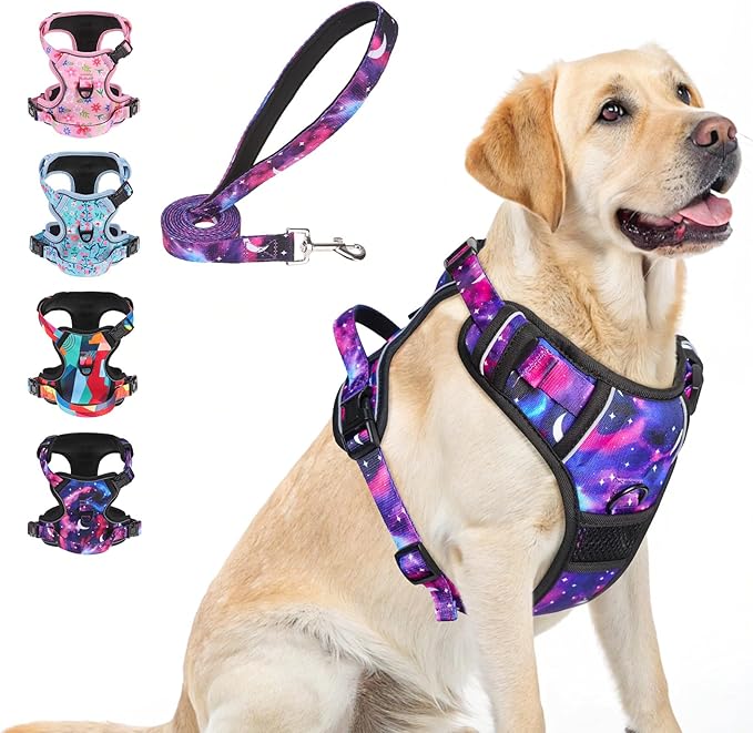 BEAUTYZOO No Pull Dog Harness and Leash Set with 2 Metal Leash Clips - Overhead-Free 3 Snap Buckles Design, Adjustable No-Choke Soft Padded Reflective Oxford Pet Vest for Small Medium Large Dogs, L