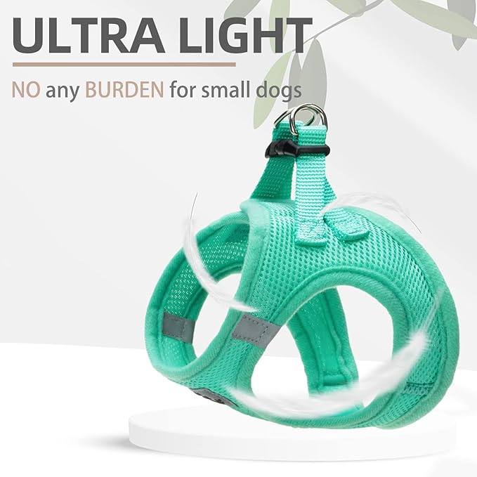PUPTECK Adjustable Dog Harness Collar and Leash Set Step in No Pull Pet Harness for Small Medium Dogs Puppy and Cats Outdoor Walking Running, Soft Mesh Padded Reflective Vest Harnesses, Solid Green S