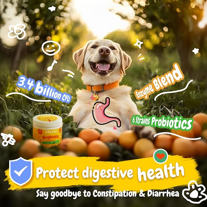 PENPEN Probiotics for Dogs, Dogs Probiotics for Digestive Health, Multi-Probiotic and Enzyme Blend Promote Gut Health & Immune Support, Eases Sensitive Stomachs - Beef Flavor, 180 Soft Chews