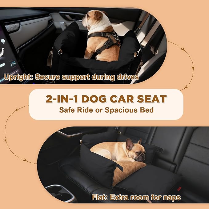 Small Dog Car Seat, Waterproof Pet Booster Seat for Car with Side Handles and a Storage Pocket, Clip-On Safety Leash and PP Cotton Filling, Vehicle Bed for Small to Medium Dogs up to 25lbs (Black)