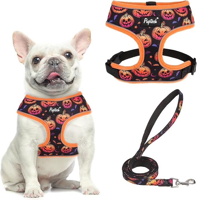 PUPTECK Soft Mesh Dog Harness and Leash Set Pet Puppy Cat Comfort Padded Vest No Pull Harnesses, Halloween Orange, M