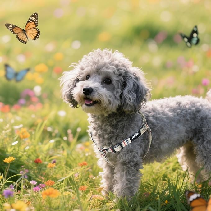 PUPTECK No Pull Dog Harness Soft Adjustable Basic Nylon Step in Puppy Vest Outdoor Walking with ID Tag, Plaid Beige, M