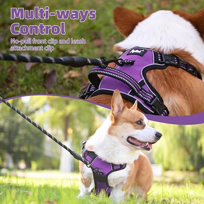 PUPTECK No Pull Dog Harness Small Sized, Adjustable Reflective Dog Harness with Handle Easy Control, Comfortable Soft Padded Pet Vest Harness for Small Dogs, Solid Purple S