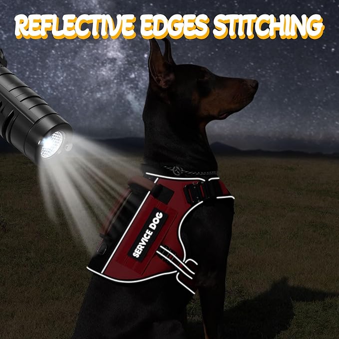 Tactical Dog Harness - HEYCAHVA Service Dog Vest Full Metal Buckles Dog Vest for Medium Large Dog Reflective No Pull Dog Harnesses Vest with Leather Handle, Hook & Loop for Hiking Training (Red, M)