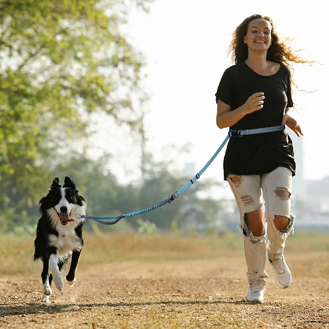 Roses&Poetry Hands Free Dog Leash for Medium Large Dogs Heavy Duty, No Pull Bungee Dog Running Waist Leash for Walking Training with Car Seatbelt 4-6FT