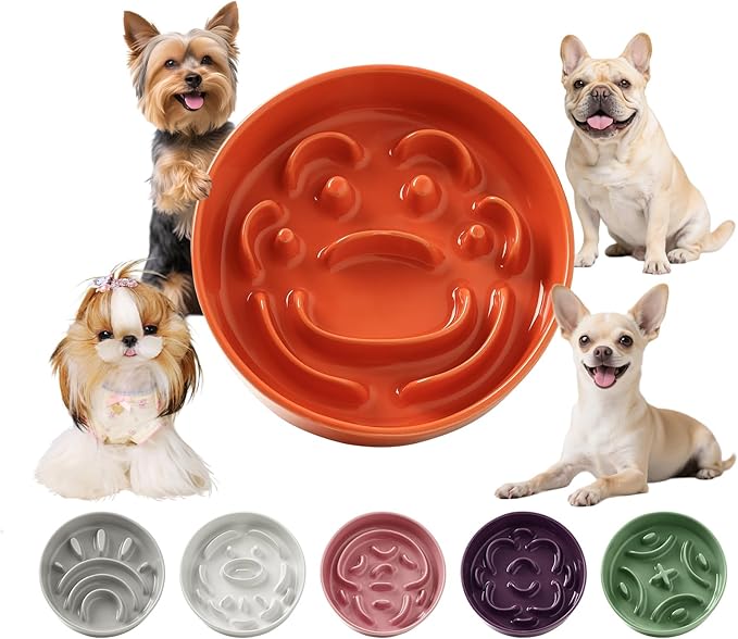 Ceramic Dog Slow Feeder Bowl - Small Dog Food Dish with Maze Puzzle Design - Slow Eating Puzzle Feeder for Pet Feed & Food Control - Whisker-Friendly Bowl for Cat Feeding - 6.3 Inch - 180 g - Orange