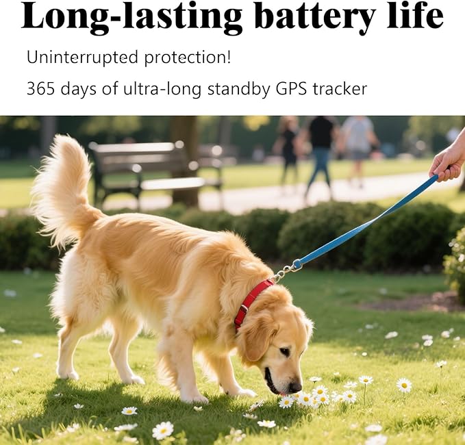 GPS Tracker for Dogs & Cats, No Subscription & No SIM Card, 365-Day Extra Long Battery Life, Real-Time Alerts & Historical Routes, Mini Waterproof Drop-Proof Pet Locator, Compatible with Android & iOS