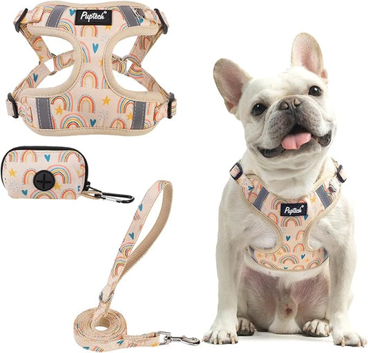 PUPTECK Dog Harness and Leash Set Small Sized, Step in No Pull Adjustable Puppy Cat Harness Reflective Pet Vest
