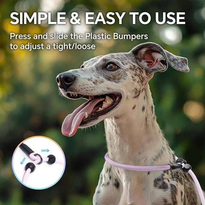 QQPETS Adjustable Slip Lead Dog Leash, Hands Free Waist Leash for Dog Walking, Reflective Training Lead with 360° Swivel Anti-Tangle, 4-7 ft Length for All Breeds