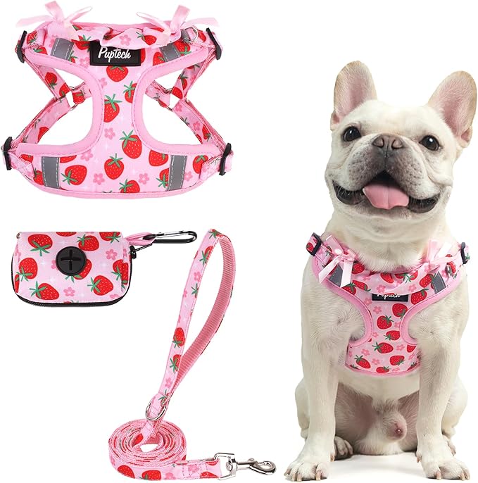 PUPTECK Dog Harness and Leash Set Small Sized, Step in No Pull Adjustable Puppy Cat Harness Reflective Pet Vest