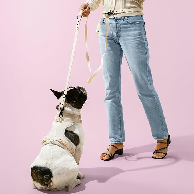 WLK1006L-5SET Luna Large 8FT Adjustable 6-in-1 Waterproof Hands-Free Leash and Collar with LED Flashlight, Bag Dispenser, and Poop Bag Holder, Bailey