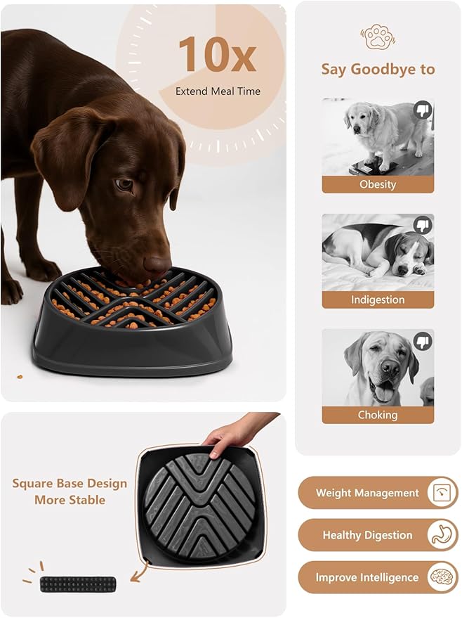 KASBAH Slow Feeder Dog Bowls Large Breed, Holds 5 Cups Wet or Dry Food for Large and Medium Dogs,Puzzle Maze for Fast Eaters,Square Base,Non-Slip, Made Without BPA,Helps Prevent Bloat & Aid Digestion