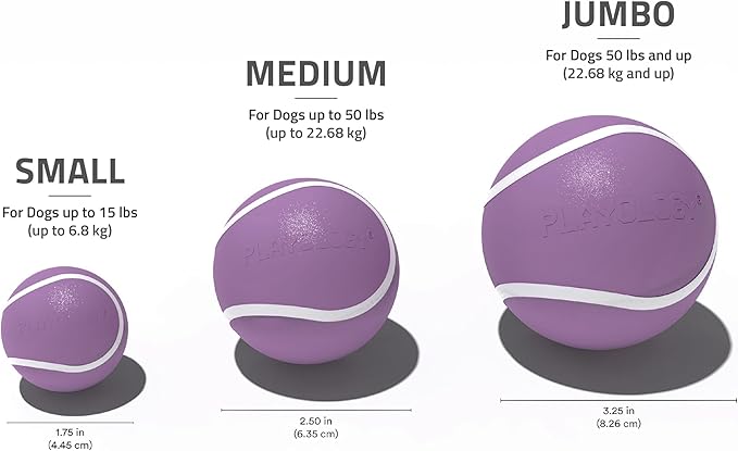 Playology Dog Toys | Squeaky Chew Ball - Bouncy Durable Floating Fetch Ball for Dogs, Value 2-Pack | Medium Bacon Scented Toy - Easy to Clean and Made from Non Toxic Materials