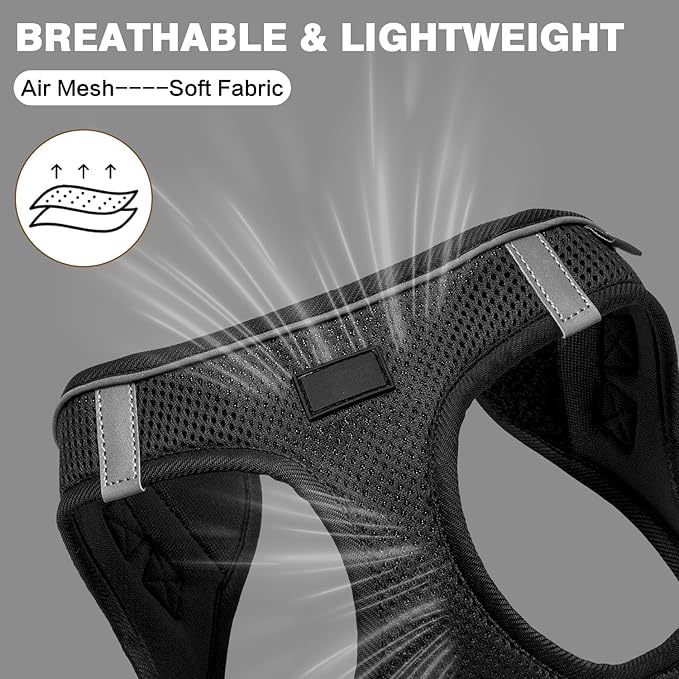 Dog Harness and Leash Set, No Pull Mesh Puppy Harness for Small Medium Sized Dogs, Pet Vest for Walking Running Training, Double D-Rings Reflective Strip