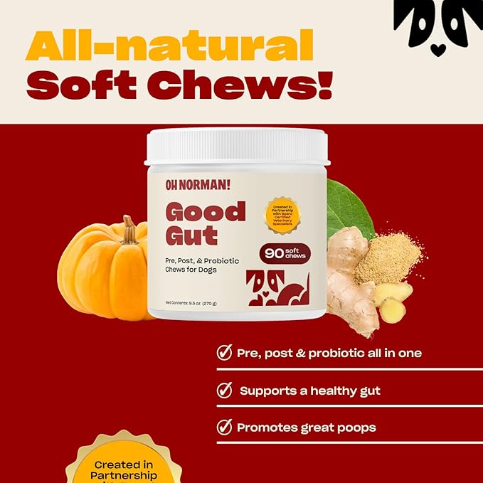 Oh Norman! Probiotic Chews for Dogs, Probiotics for Dogs Digestive Health with Enzymes, Allergy Relief for Seniors, Probiotics for Dog Wellness and Comfort