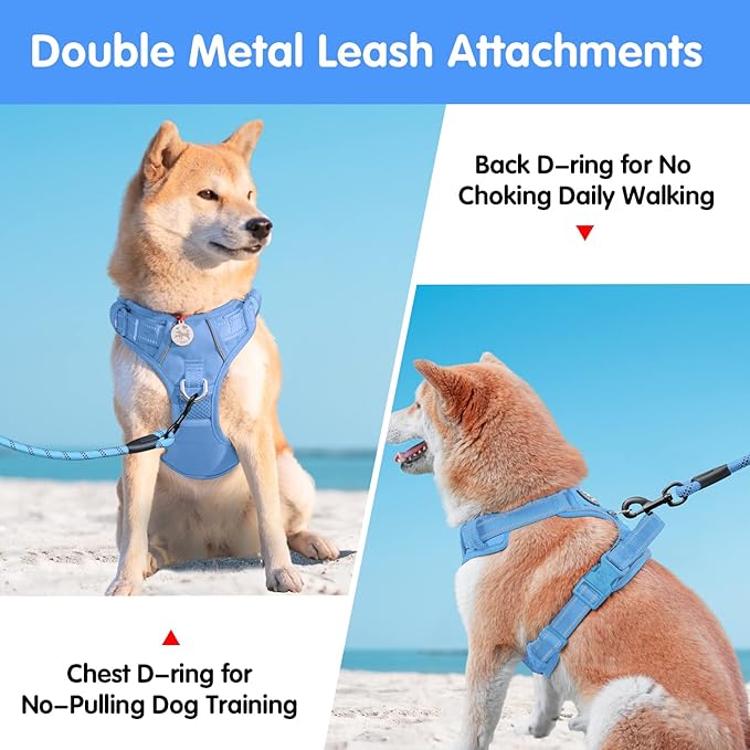 PoyPet No Pull Dog Harness and 5 Feet Leash Set, Release on Neck Reflective Adjustable Pet Vest, Front & Back 2 D-Ring and Soft Padded Pet Harness with Handle for Small to Large Dogs(Light Blue,L)