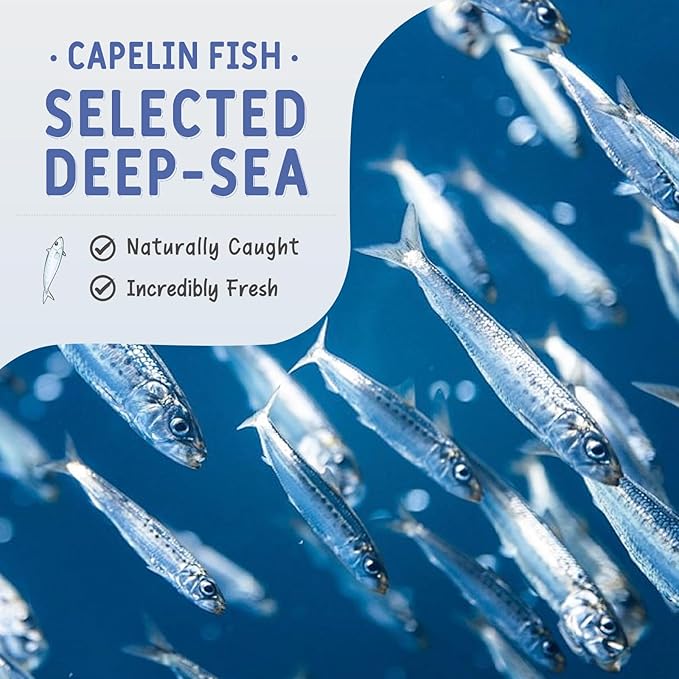 Freeze Dried Capelin Fish Treats for Cats & Dogs, Single Ingredient, Rich in Omega 3 & 6 for Healthy Skin & Coat, Grain Free, 100% Whole Fish, Premium Quality High Protein Training Snacks
