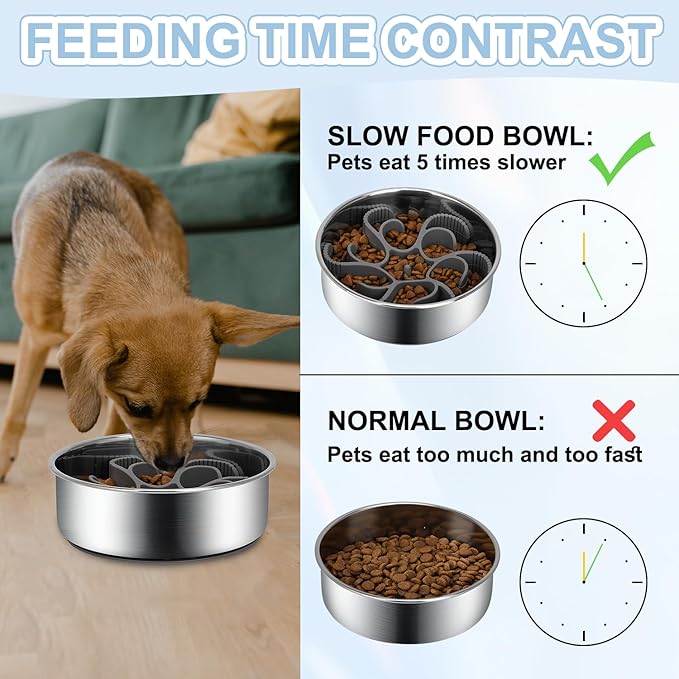 2-in-1 Slow Feeder Dog Bowls, Stainless Steel Pet Bowls with Silicone Feeder Insert, Removable Non-Slip Rubber Base for Dogs to Slow Down Eating (Small Breed)